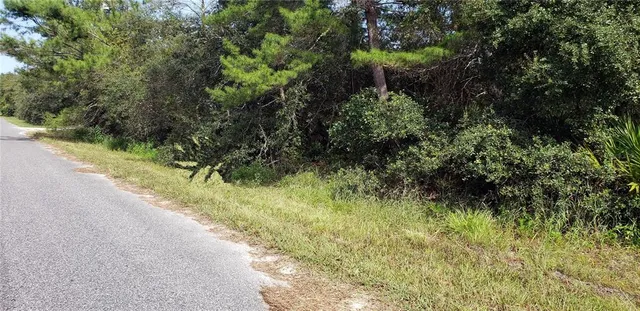 $29,000 | 17 Palmetto Street, Paisley, FL 32767