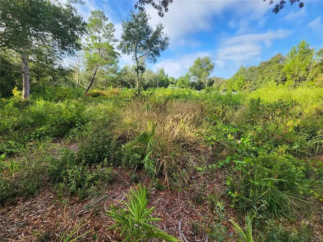 a backyard of a house with lots of green space