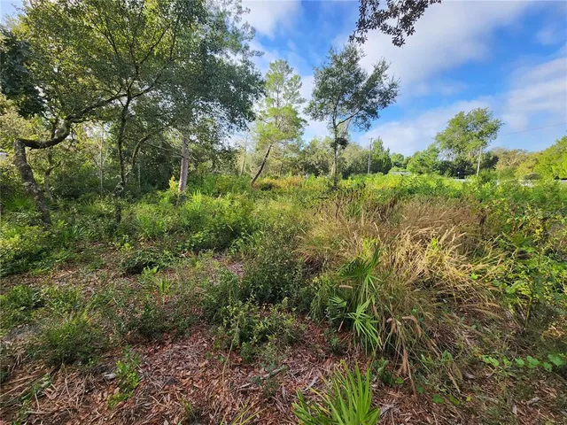 a view of a pathway with a yard