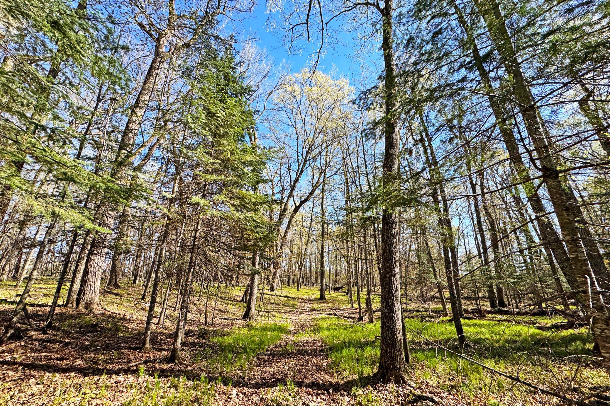 26810 North Hart Lake Road Pengilly, MN 55775 - Photo 58 of 67