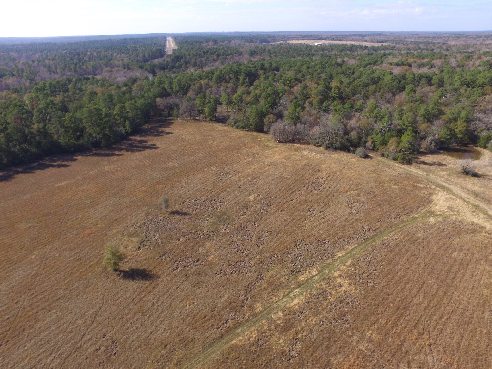 1 Percy Howard Road Huntsville, TX 77320 - Photo 12 of 14 a view of a dry yard with mountains in the background