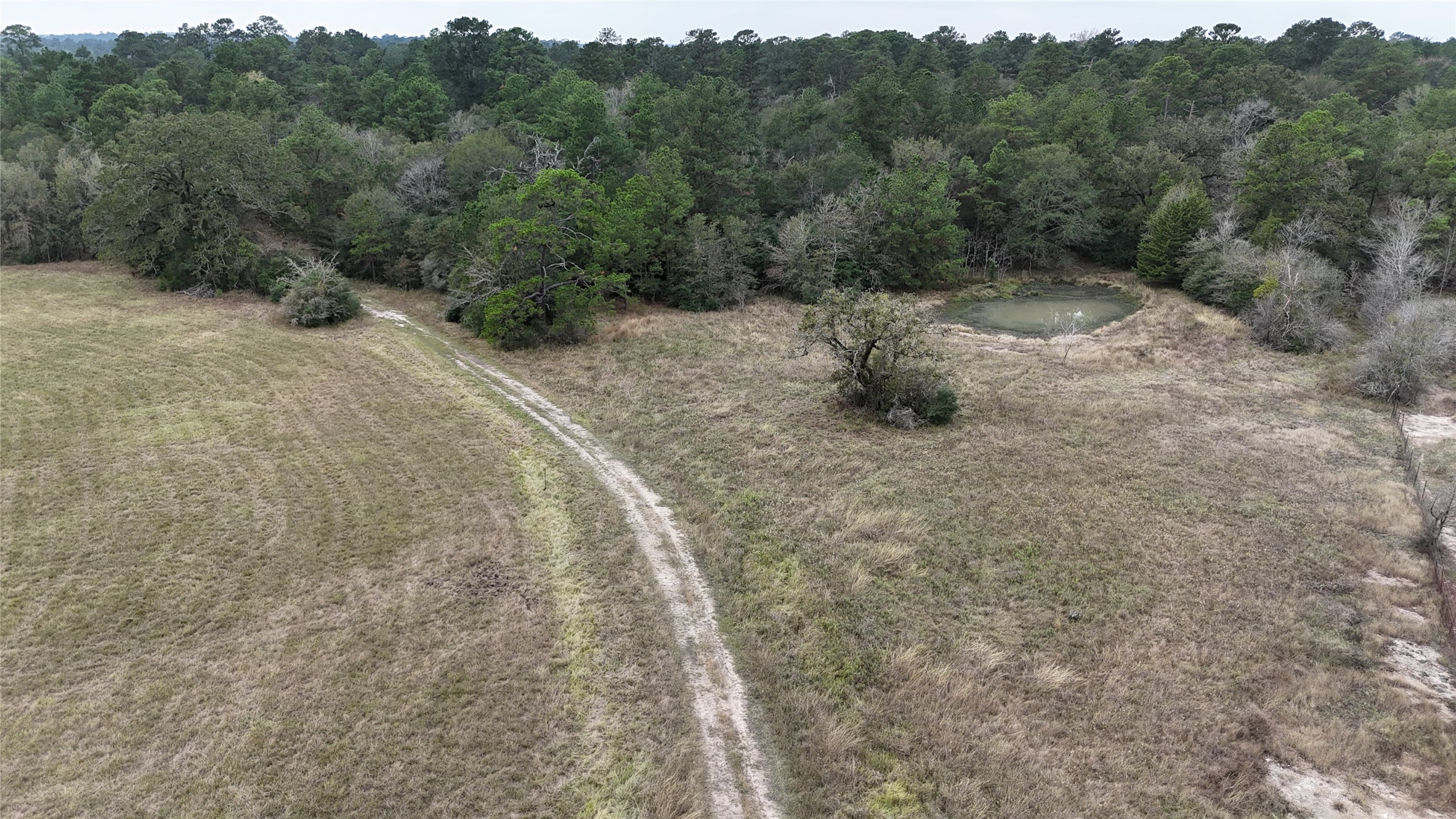1 Percy Howard Road Huntsville, TX 77320 - Photo 4 of 14 a view of a forest with a tree