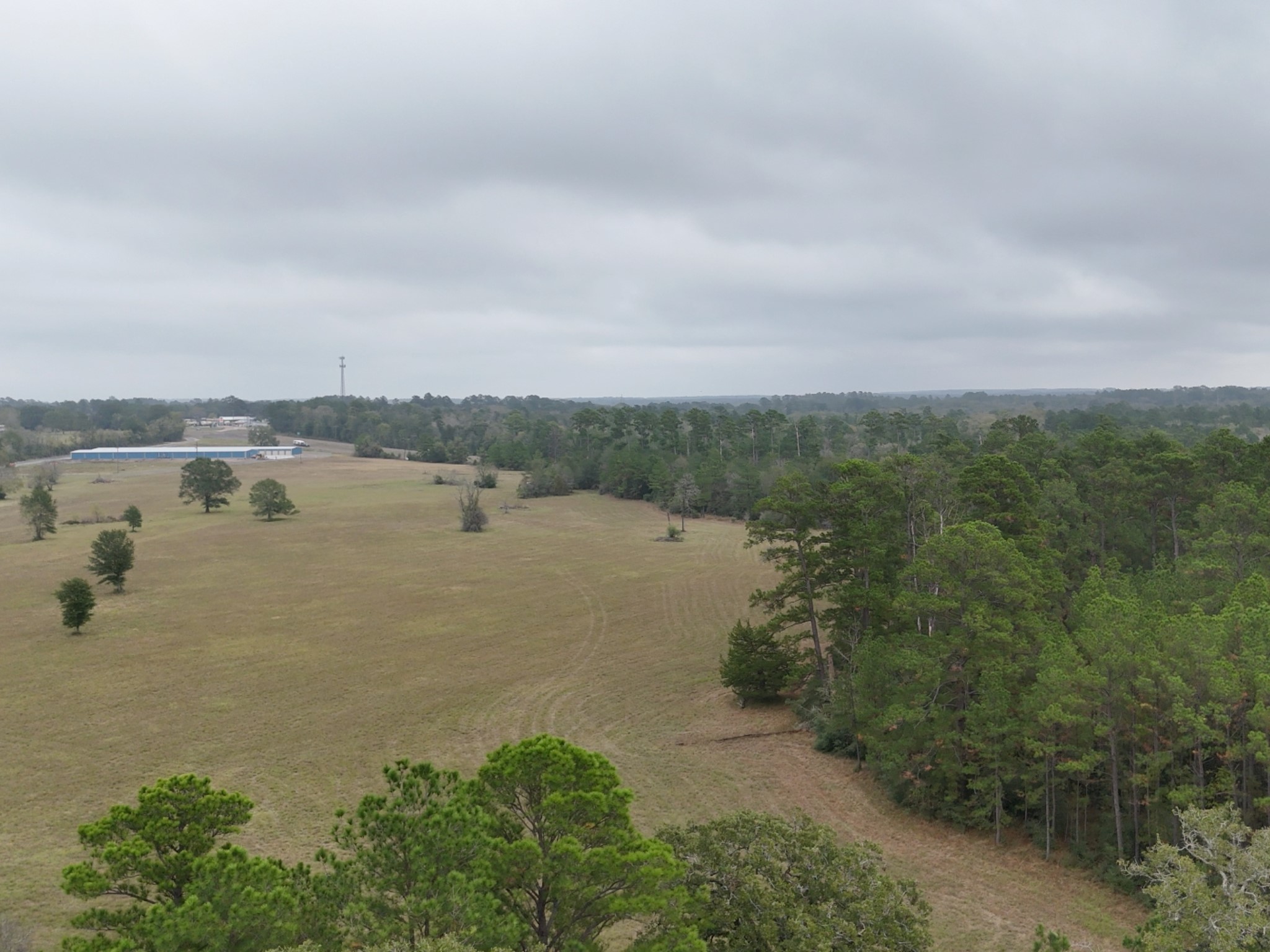 1 Percy Howard Road Huntsville, TX 77320 - Photo 6 of 14 a view of a lake with houses in back