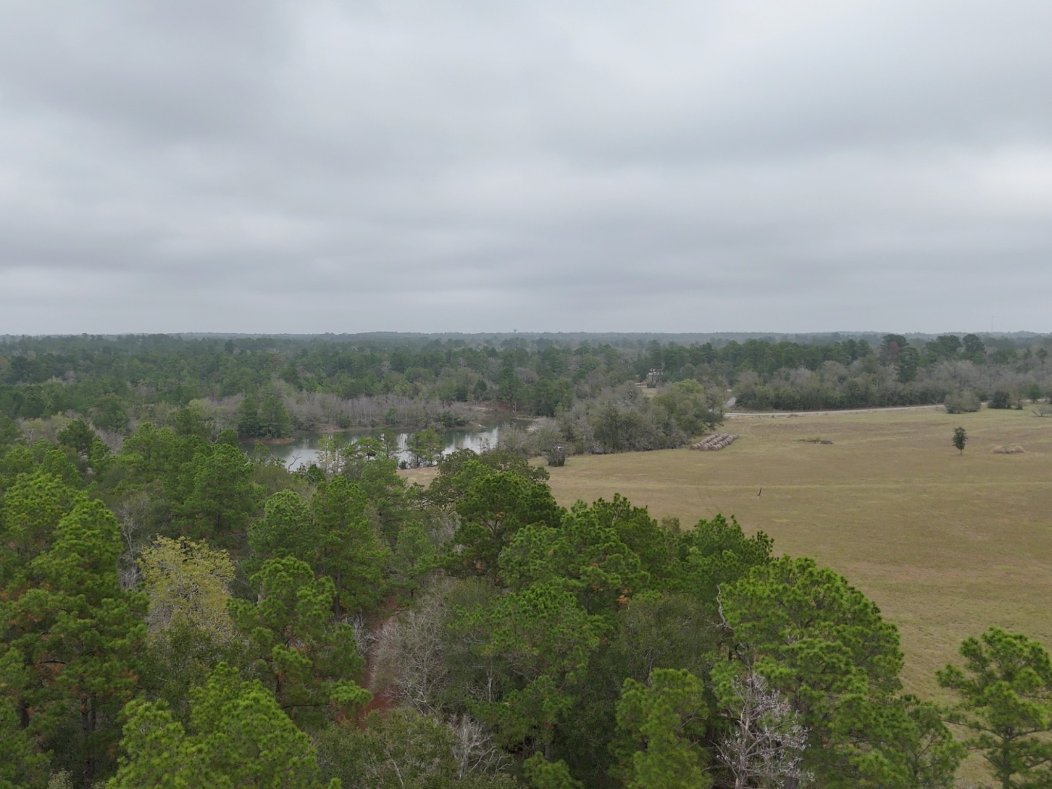 1 Percy Howard Road Huntsville, TX 77320 - Photo 7 of 14 a view of a lake with houses in the back