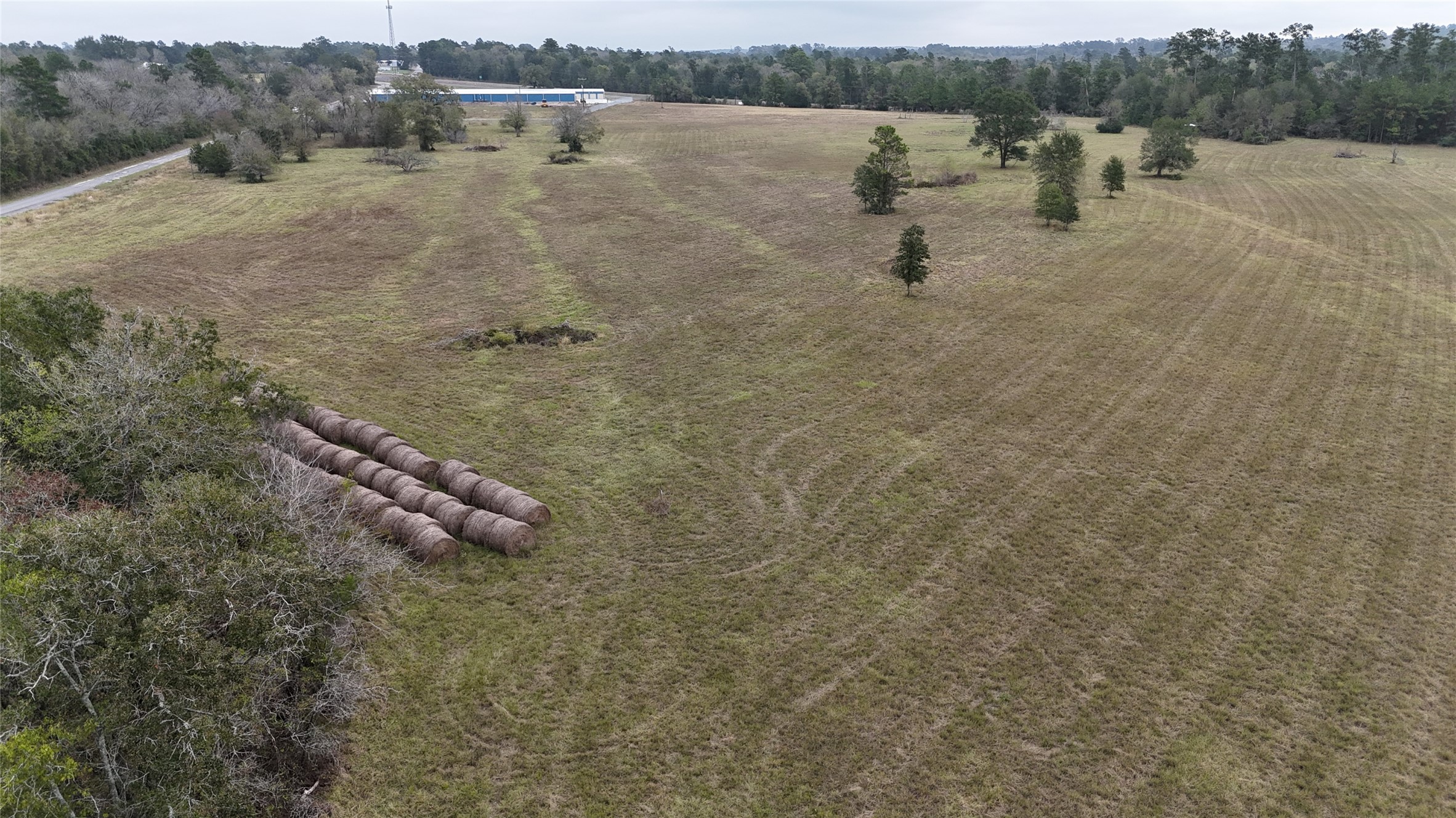 1 Percy Howard Road Huntsville, TX 77320 - Photo 9 of 14 a backyard of a house with lots of green space