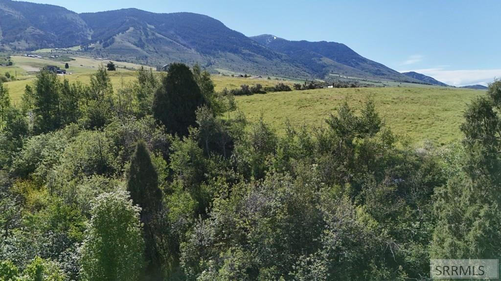 1398 Mogul Lane Inkom, ID 83245 - Photo 9 of 33