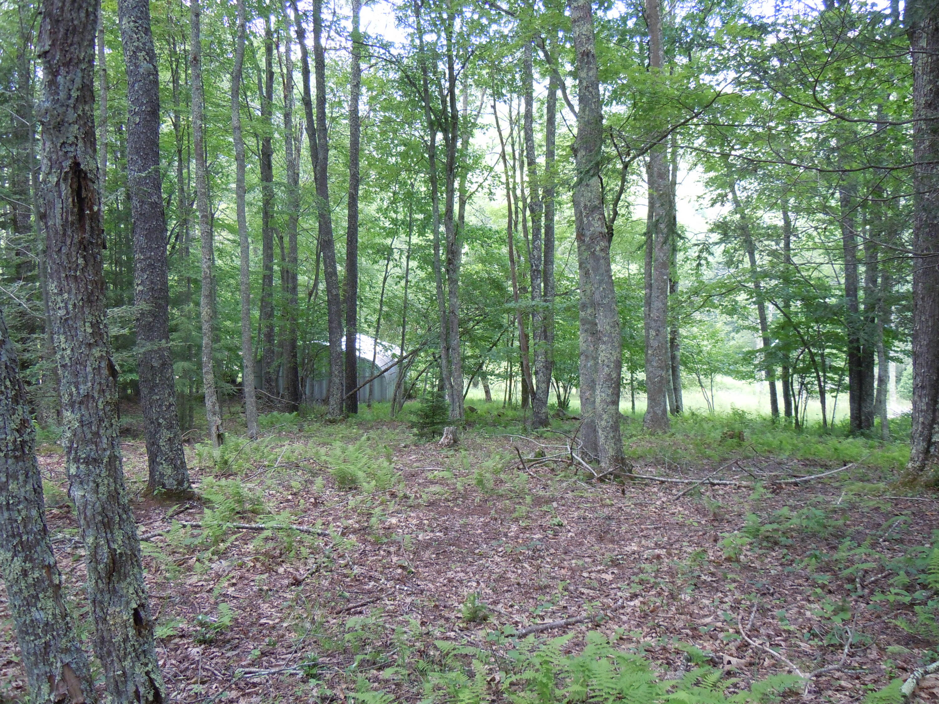 15240 Back Mountain Road Durbin, WV 26264 - Photo 30 of 82 Gallery Image 30