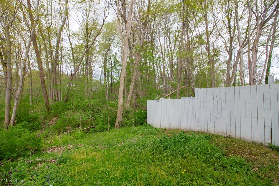 3972 Tippecanoe Road Canfield, OH 44406 - Photo 41 of 44 Gallery Image 41