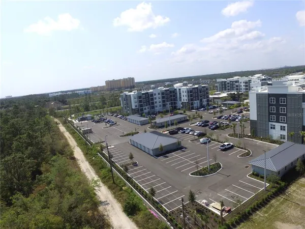 a view of a big yard with lots of bushes