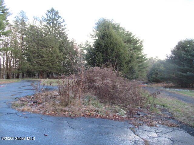 55 Middle Grove Road Greenfield, NY 12833 - Photo 9 of 107 IMG_7065