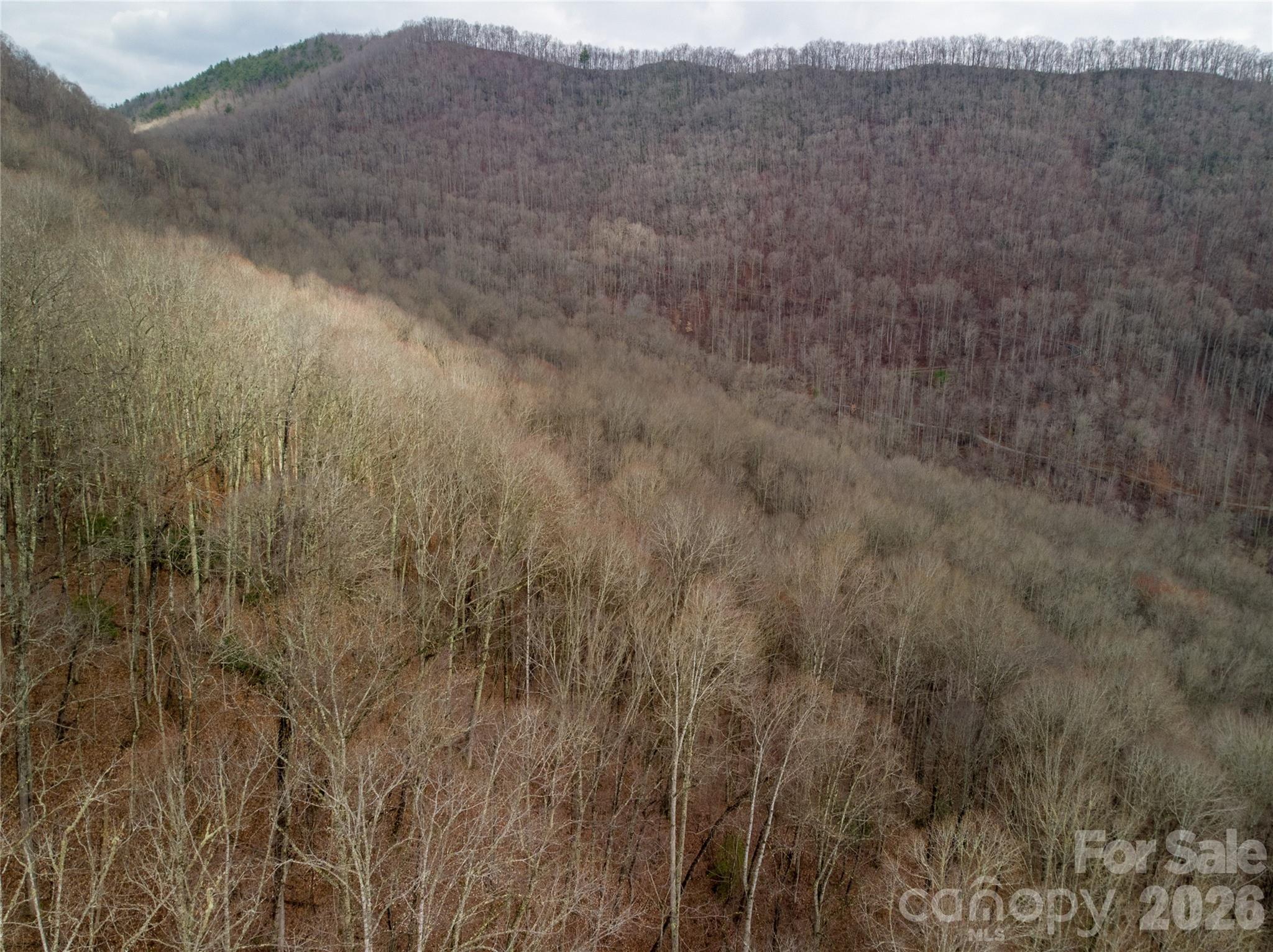 0 Upper Tuskeegee Road Robbinsville, NC 28771 - Photo 4 of 8 a view of a dry field