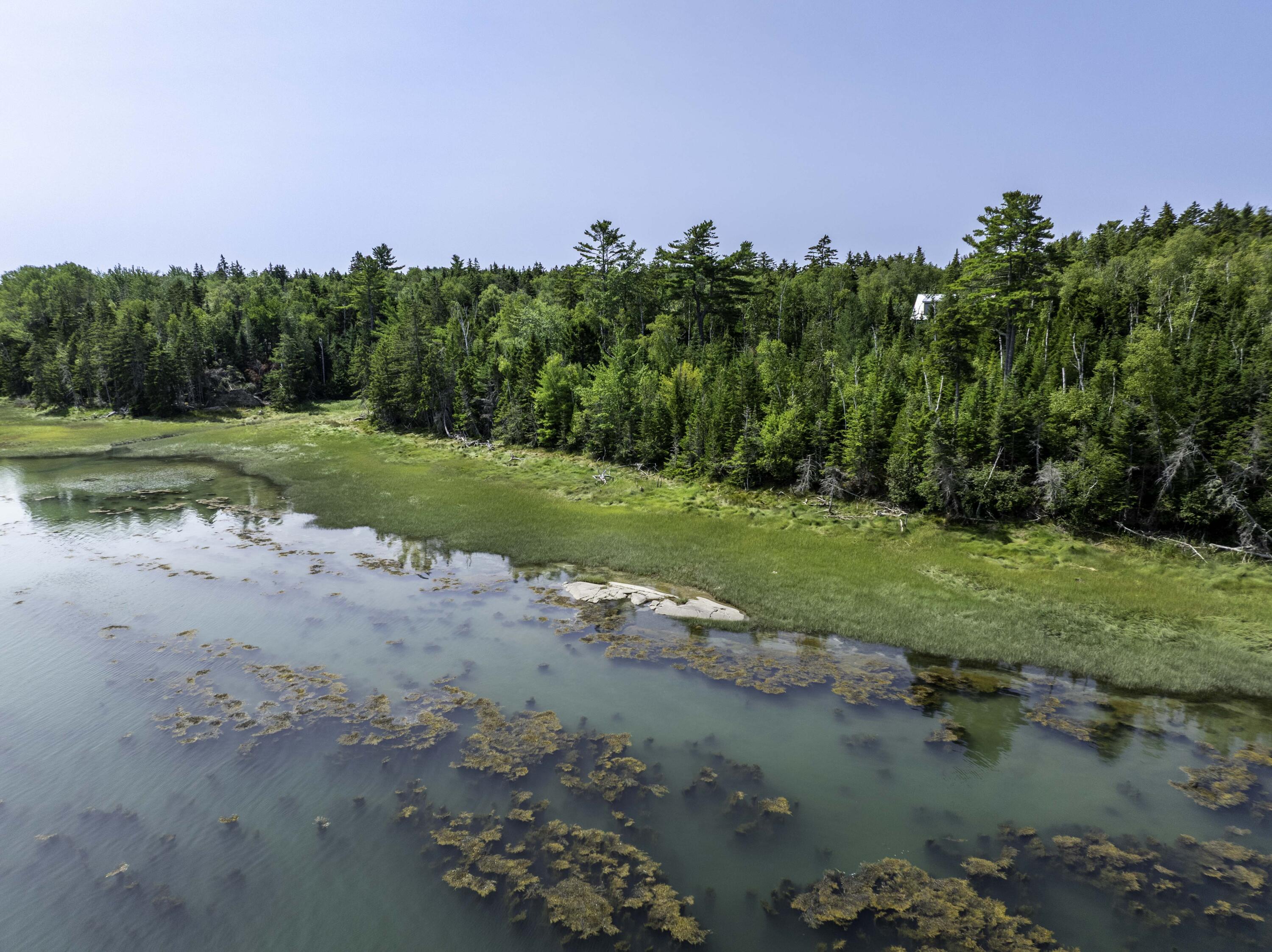 155 Coffins Neck Road Lubec, ME 04652 - Photo 28 of 30 155 Coffins Neck Rd. Lubec (6 of 9)