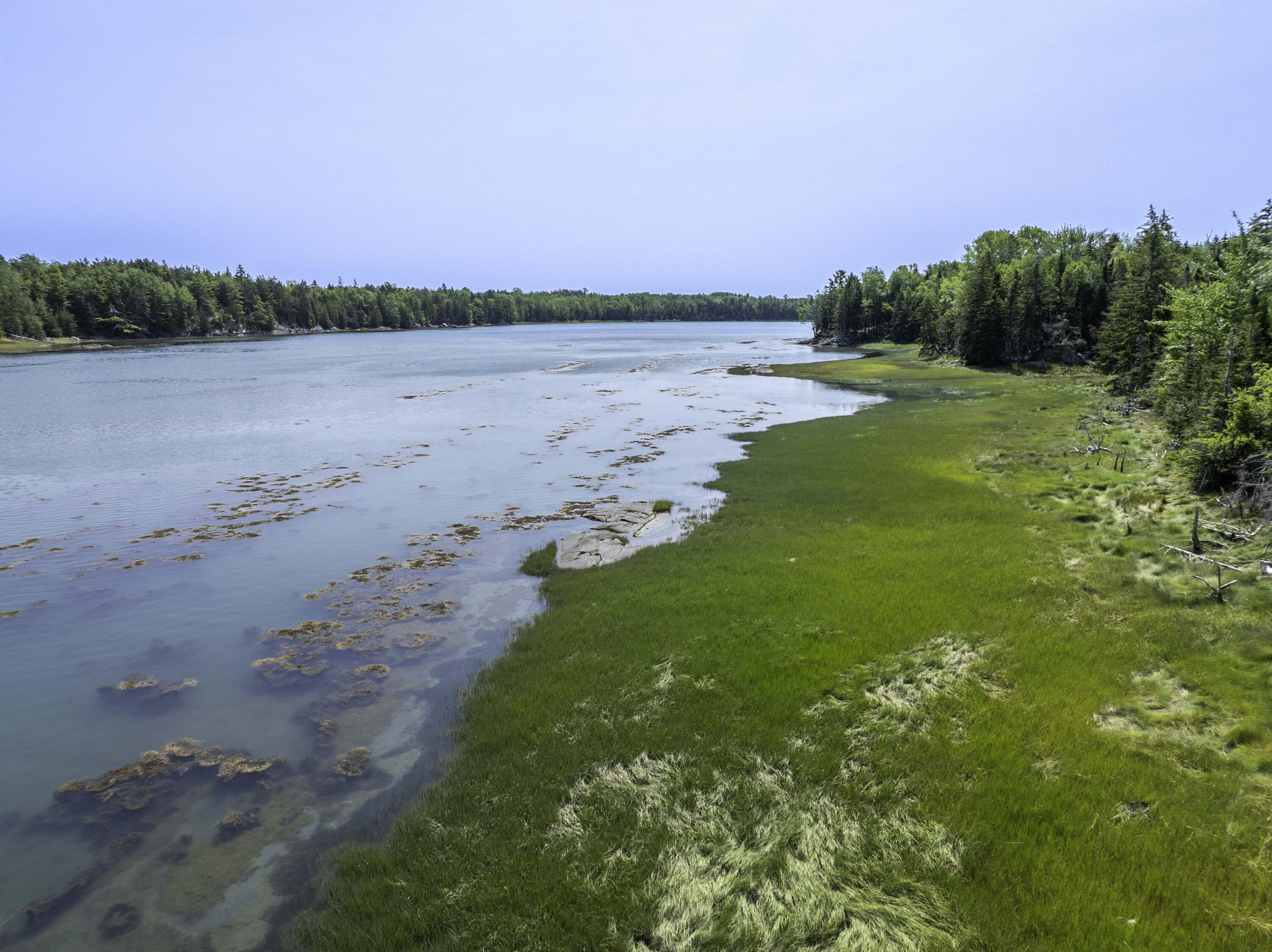 155 Coffins Neck Road Lubec, ME 04652 - Photo 29 of 30 155 Coffins Neck Rd. Lubec (7 of 9)