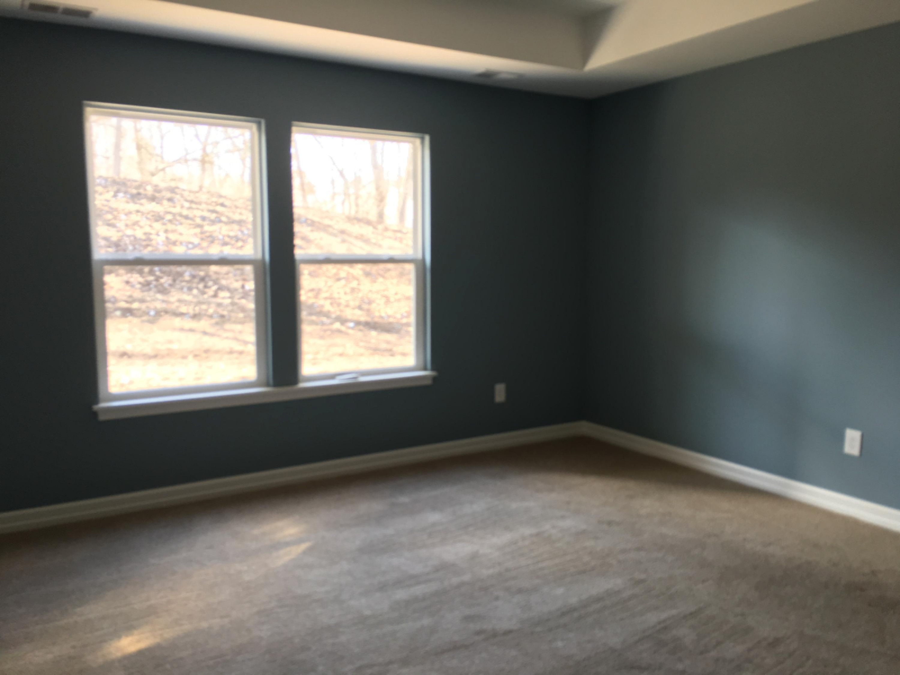 3412 Dunns Ridge, Unit 63 Kalamazoo, MI 49009 - Photo 19 of 33 WW-63 LL Blue bedroom