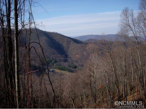 2 Glacier Road Canton, NC 28716 - Photo 2 of 13
