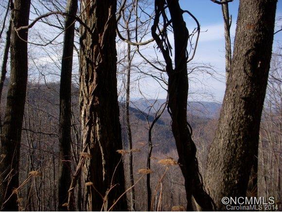 2 Glacier Road Canton, NC 28716 - Photo 11 of 13