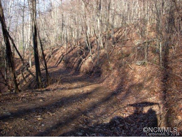 2 Glacier Road Canton, NC 28716 - Photo 12 of 13