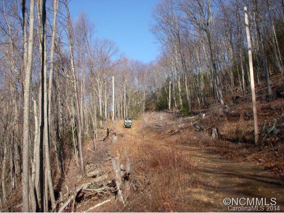 2 Glacier Road Canton, NC 28716 - Photo 13 of 13