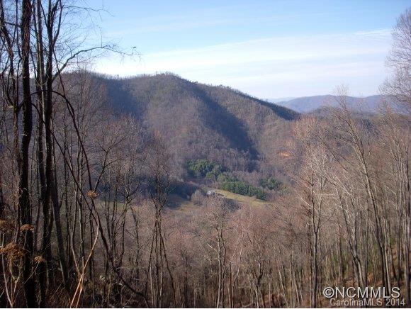 2 Glacier Road Canton, NC 28716 - Photo 3 of 13