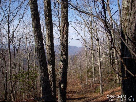 2 Glacier Road Canton, NC 28716 - Photo 4 of 13