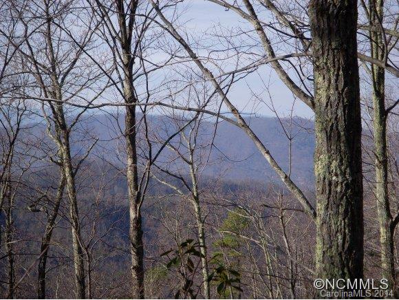 2 Glacier Road Canton, NC 28716 - Photo 5 of 13