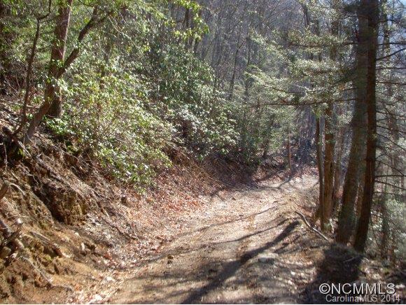 2 Glacier Road Canton, NC 28716 - Photo 6 of 13