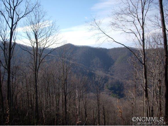 2 Glacier Road Canton, NC 28716 - Photo 7 of 13