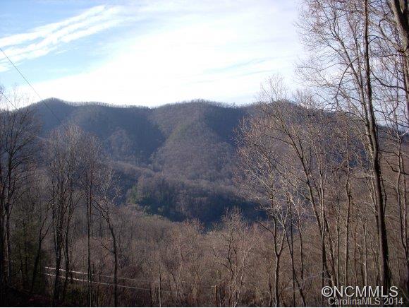 2 Glacier Road Canton, NC 28716 - Photo 8 of 13