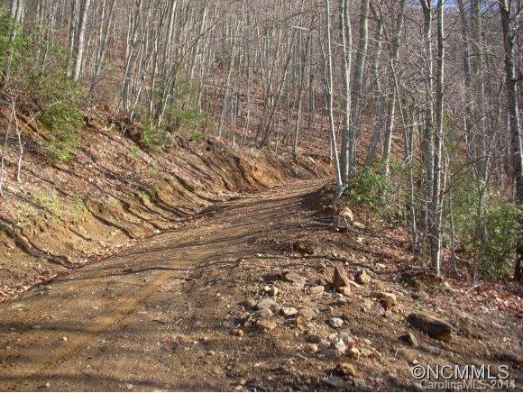 2 Glacier Road Canton, NC 28716 - Photo 9 of 13