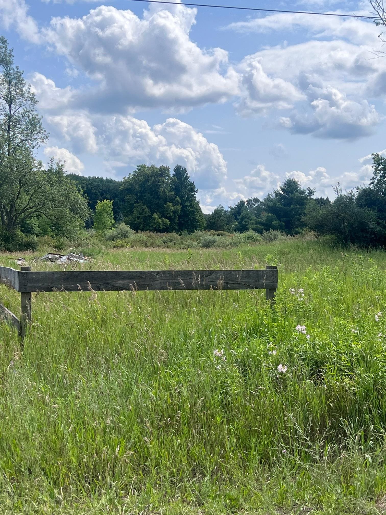 Tbd West Pickard Road Remus, MI 49340 - Photo 10 of 15