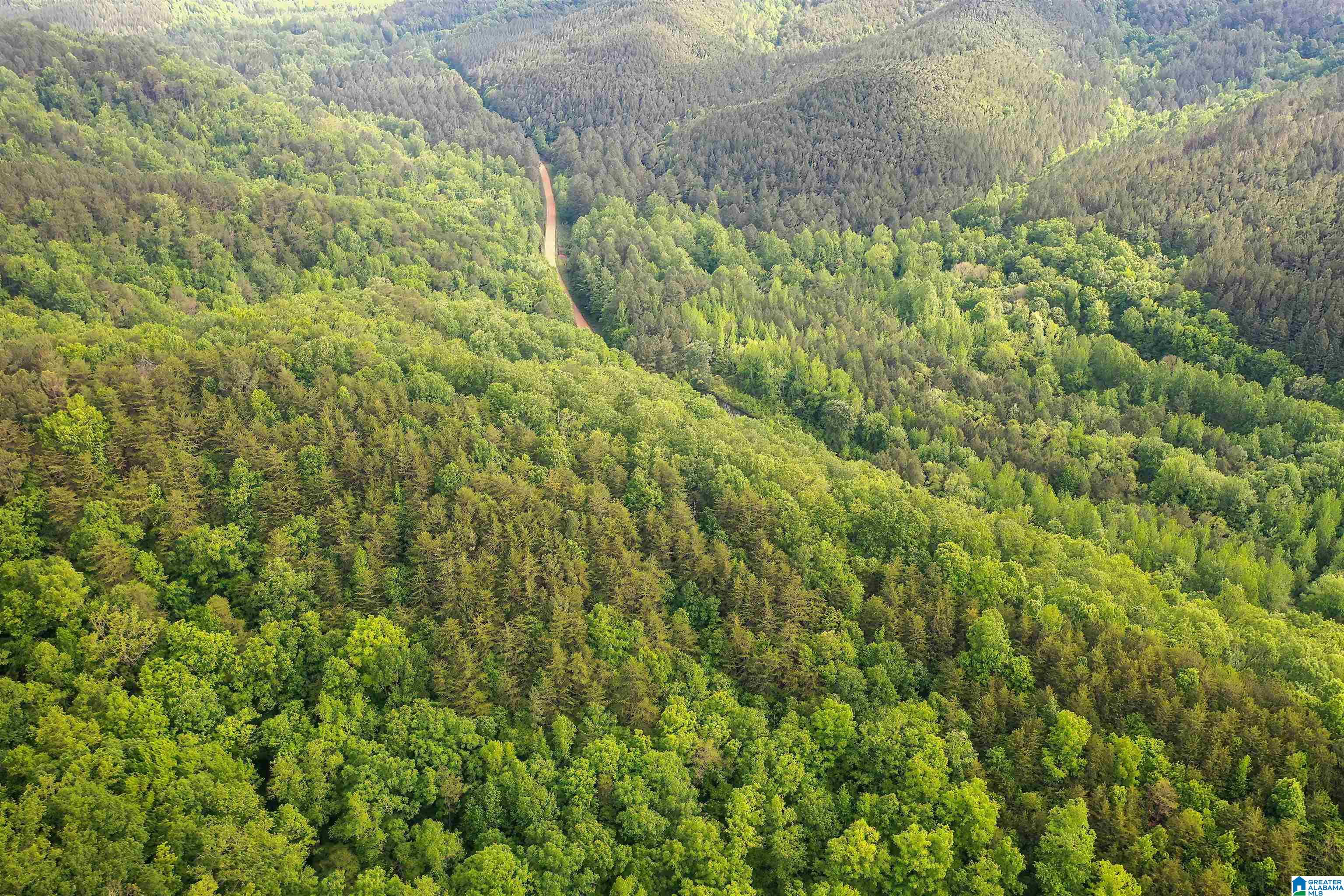 0 Wolf Creek Road Carbon Hill, AL 35549 - Photo 8 of 29