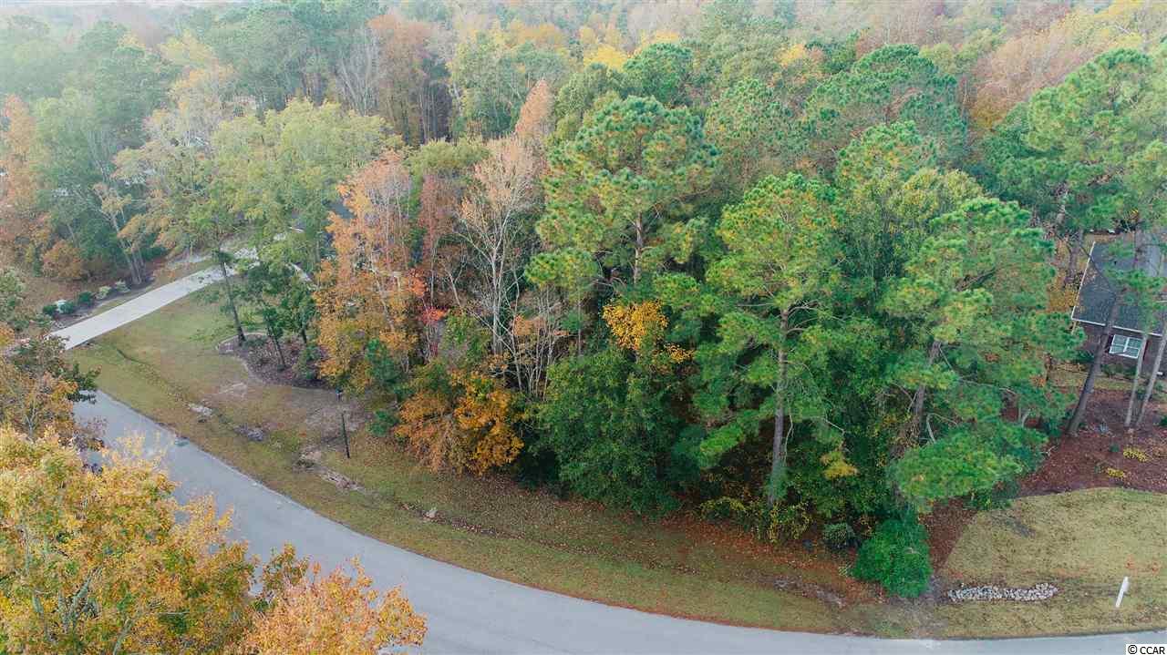 Lot 02 West Pelican Road Little River, SC 29566 - Photo 1 of 15 Gallery Image 1