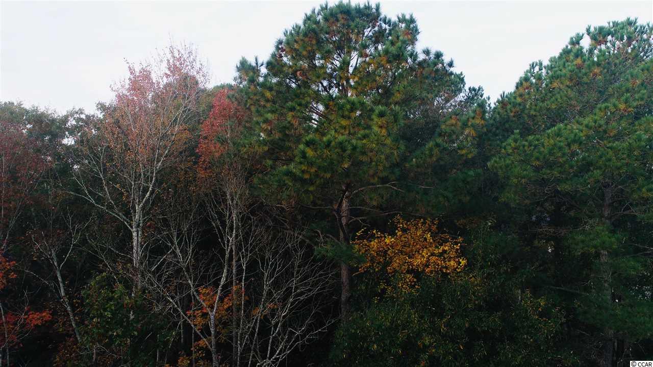 Lot 02 West Pelican Road Little River, SC 29566 - Photo 14 of 15 Gallery Image 14