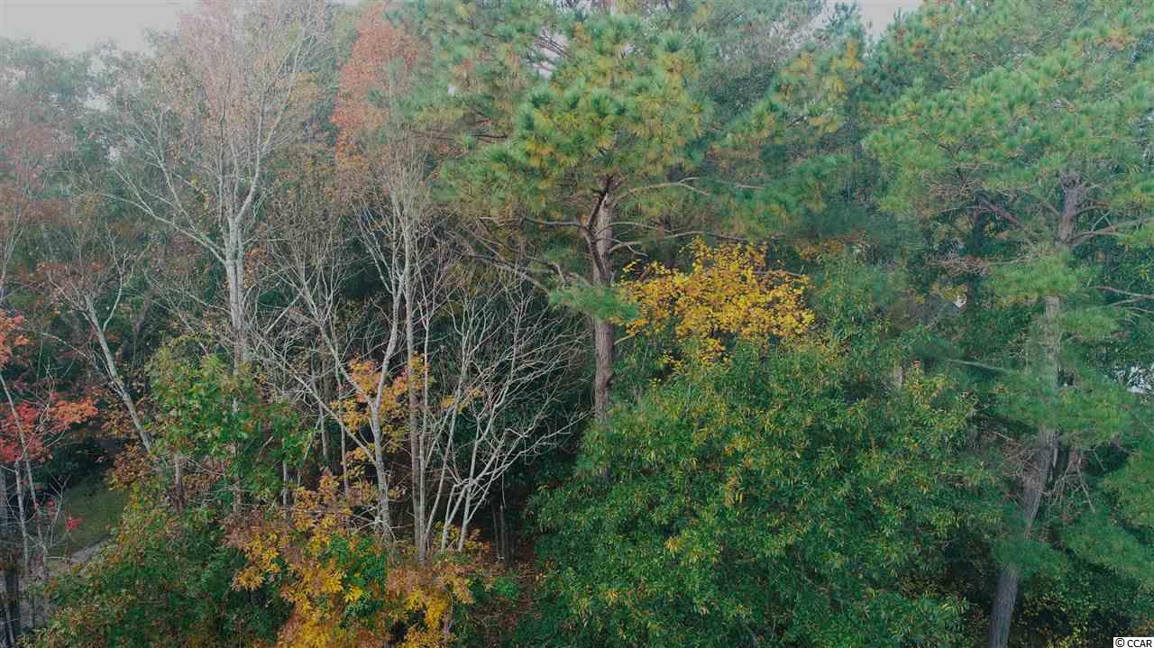 Lot 02 West Pelican Road Little River, SC 29566 - Photo 15 of 15 Gallery Image 15