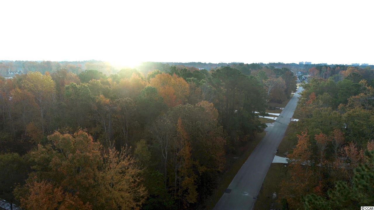 Lot 02 West Pelican Road Little River, SC 29566 - Photo 3 of 15 Gallery Image 3