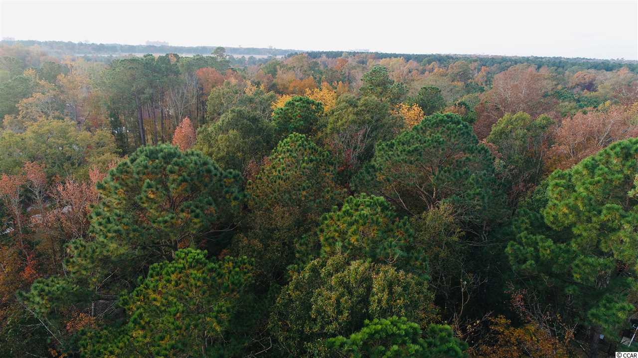 Lot 02 West Pelican Road Little River, SC 29566 - Photo 4 of 15 Gallery Image 4