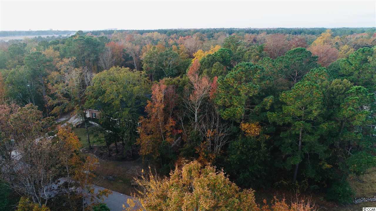 Lot 02 West Pelican Road Little River, SC 29566 - Photo 5 of 15 Gallery Image 5