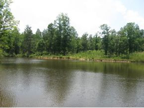 0 Weaver Road Trenton, SC 29847 - Photo 1 of 1 Main View