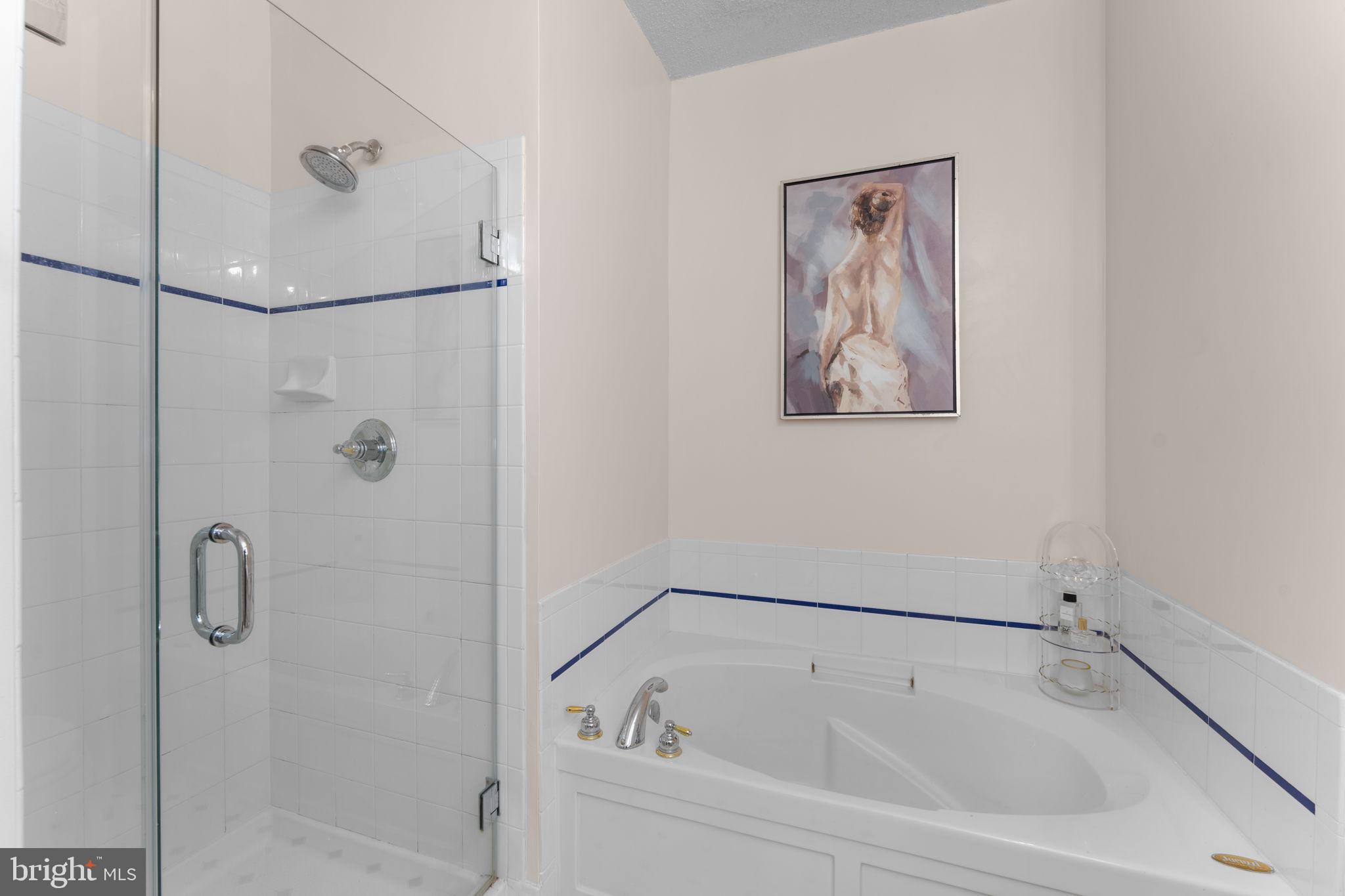 12170 Abington Hall Place, Unit 201 Reston, VA 20190 - Photo 18 of 39 a white bath tub sitting next to a shower