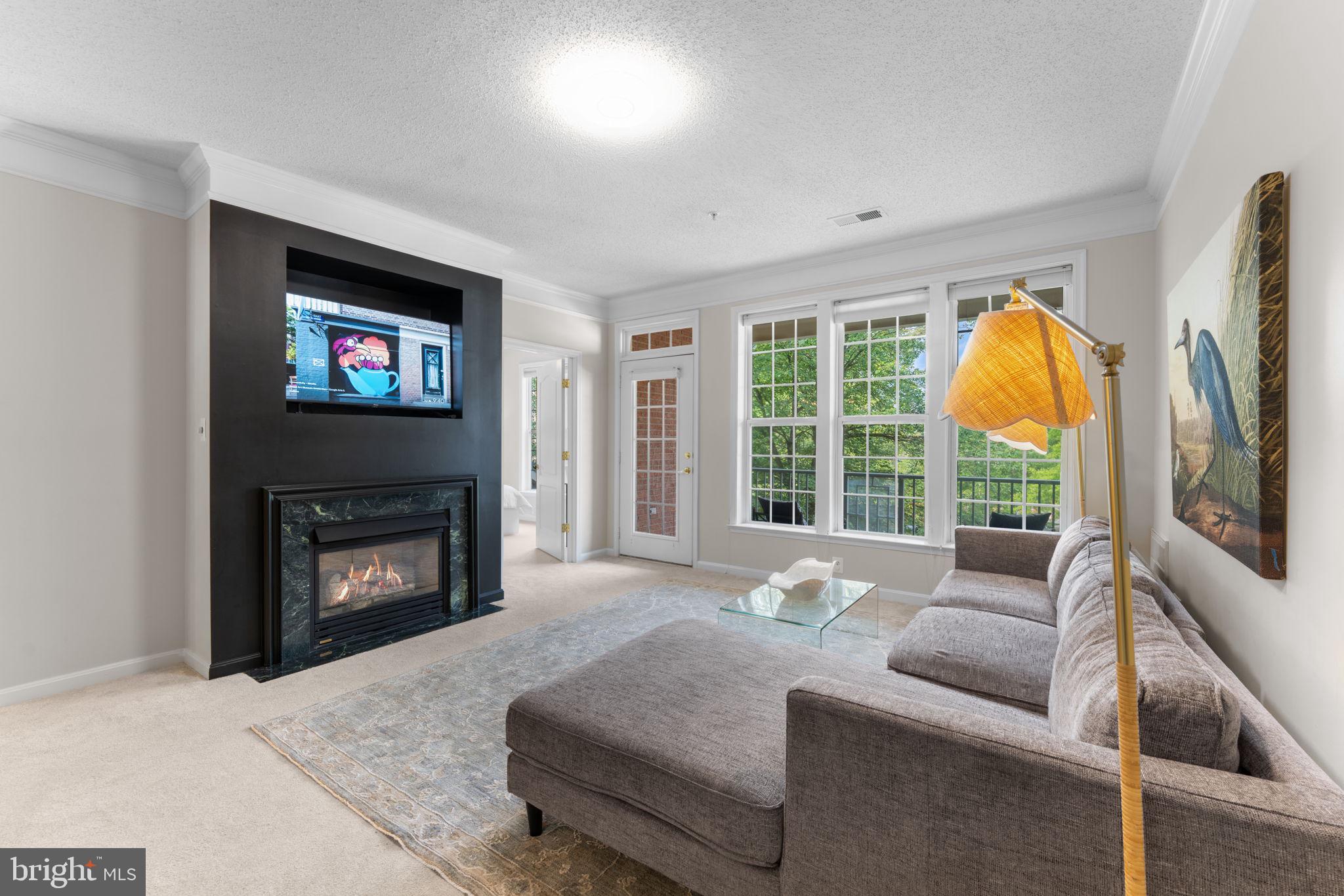 12170 Abington Hall Place, Unit 201 Reston, VA 20190 - Photo 3 of 39 a living room with furniture a fireplace and a flat screen tv