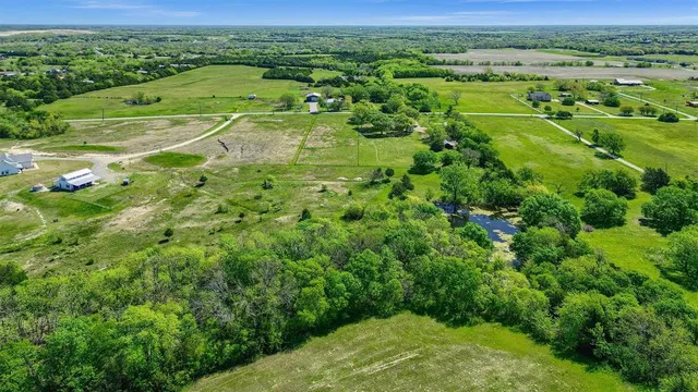 a view of a lush green space