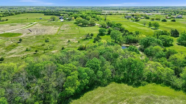 a view of a lush green space