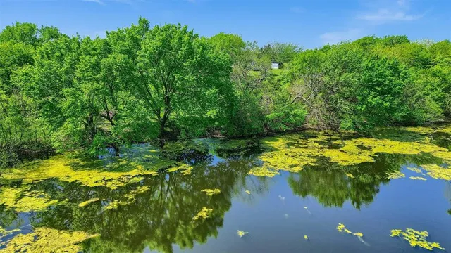 a view of swimming pool of a yard