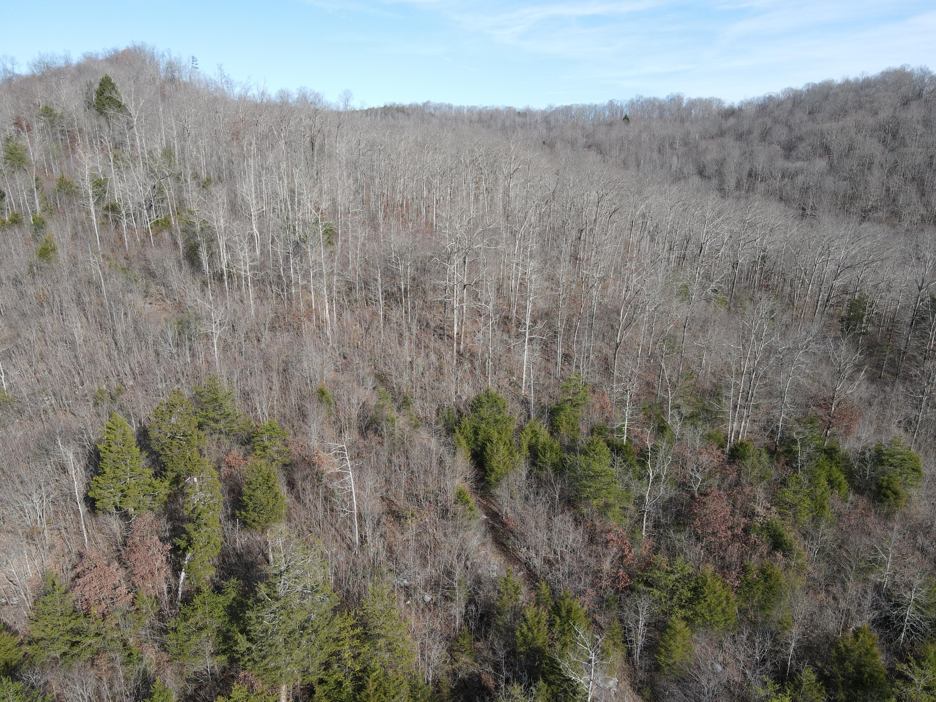 999 Mullins Station Road Livingston, KY 40445 - Photo 10 of 26 DJI_0483