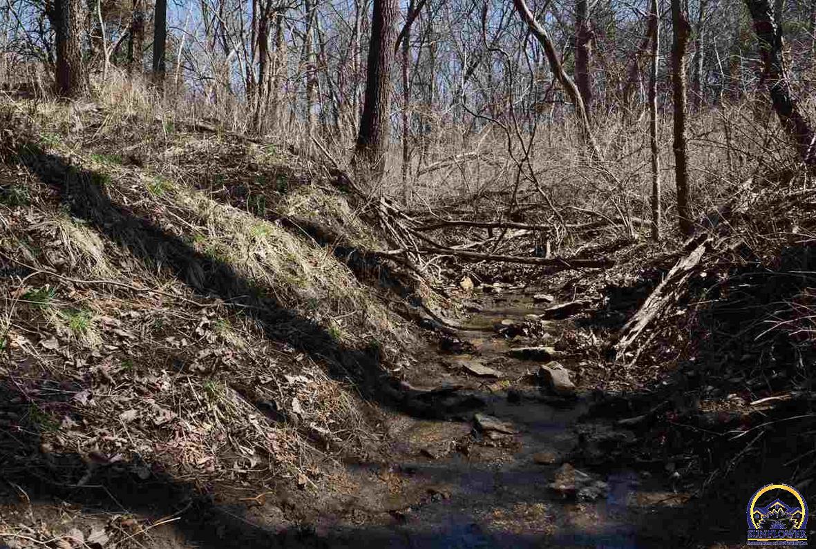 4919 Ferguson Road Perry, KS 66073 - Photo 18 of 66