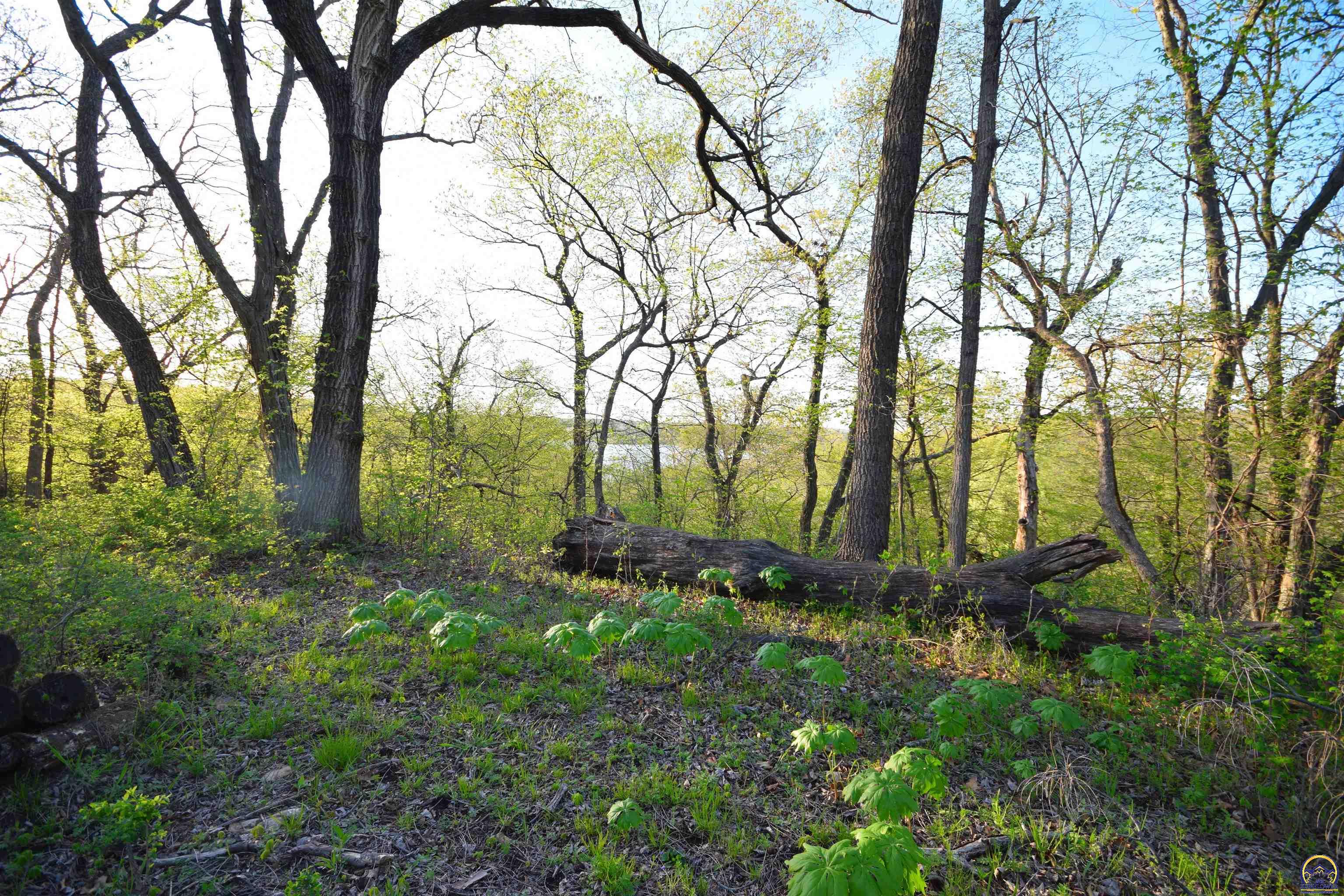 4919 Ferguson Road Perry, KS 66073 - Photo 19 of 66