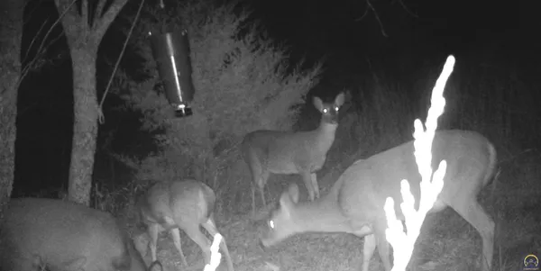 $1,700,000 | 4919 Ferguson Road, Perry, KS 66073