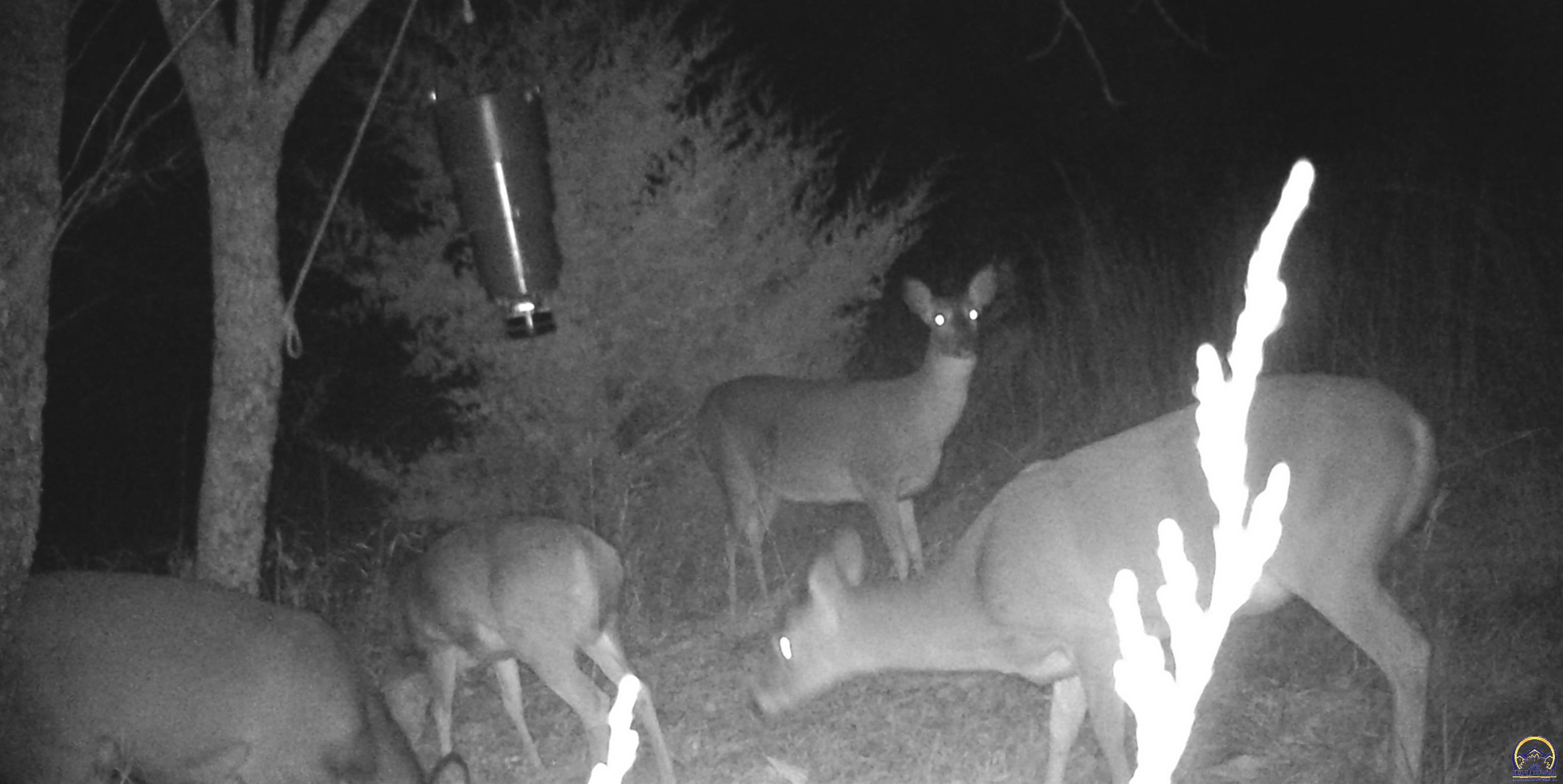 4919 Ferguson Road Perry, KS 66073 - Photo 46 of 66