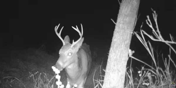 $1,700,000 | 4919 Ferguson Road, Perry, KS 66073