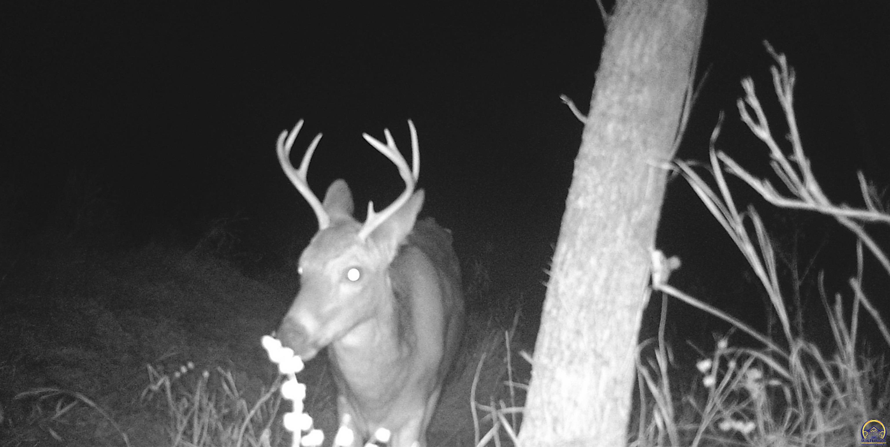 4919 Ferguson Road Perry, KS 66073 - Photo 47 of 66